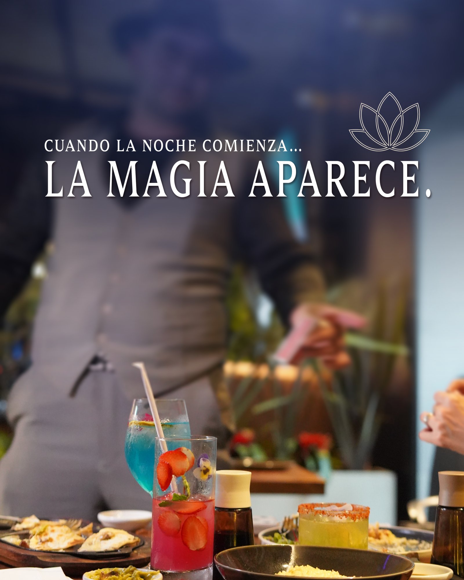 Coctelería Lotus 4